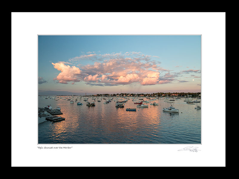 Matted-Print-16x20s