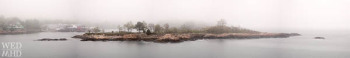 Island in the Fog