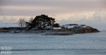 Brown's Island Engulfed in Smoke