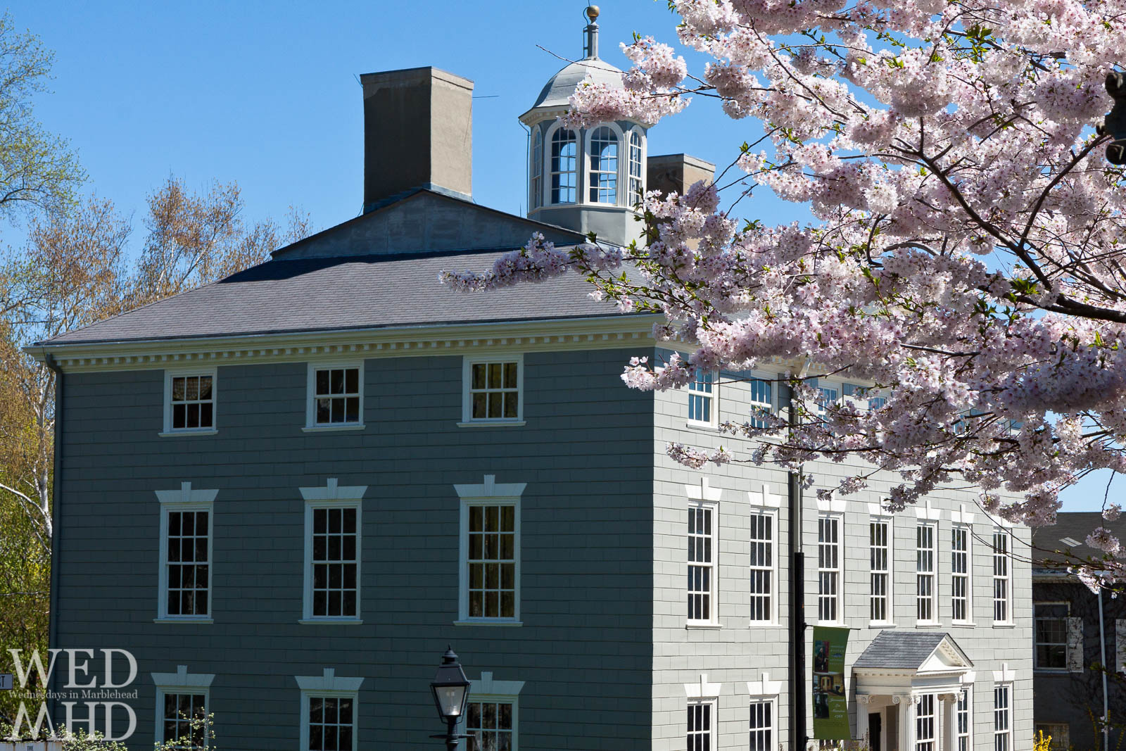 Spring Comes to Marblehead