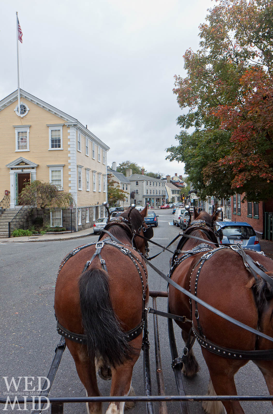 A Horse-Drawn Carriage Ride Through Town