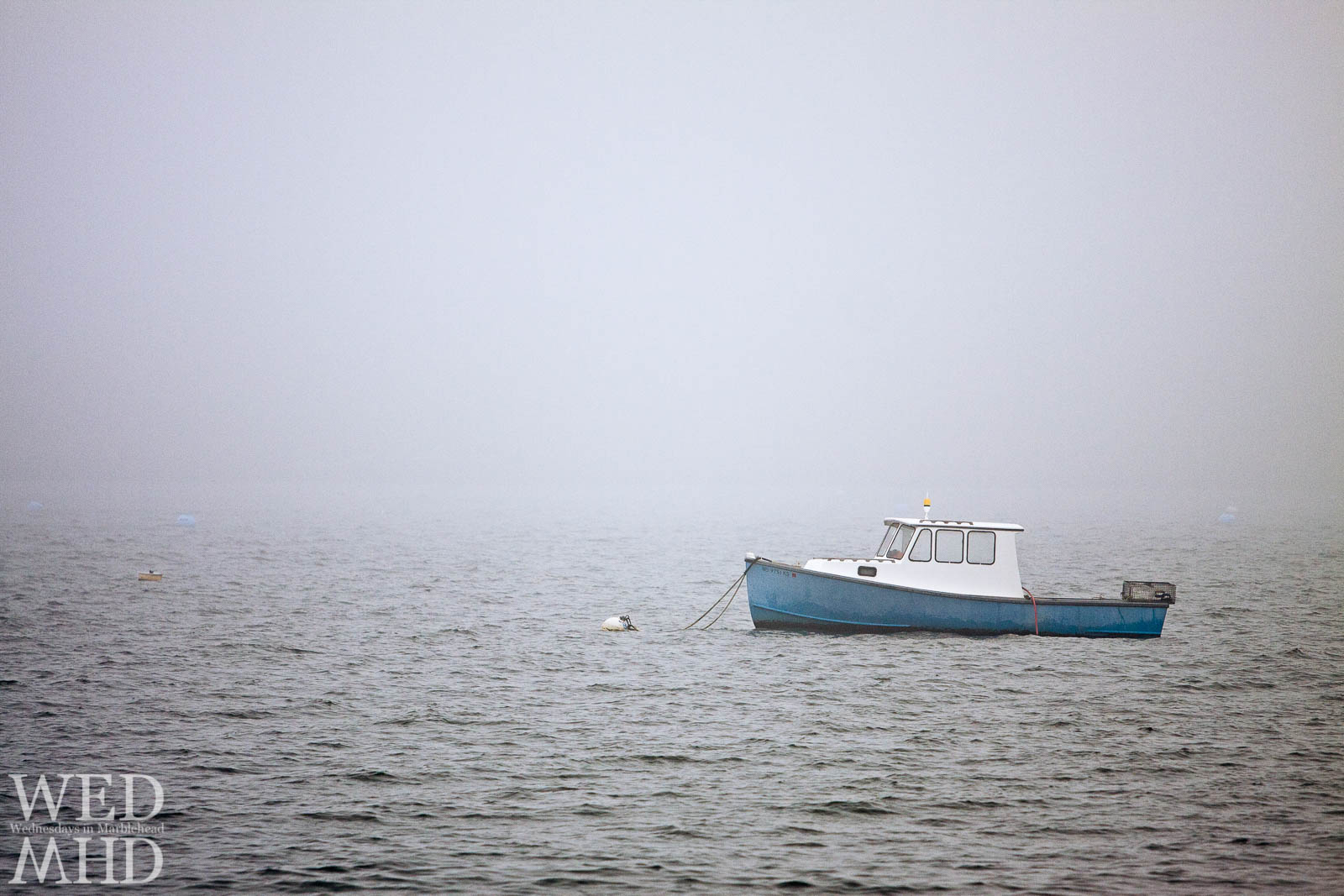 Alone in the Fog