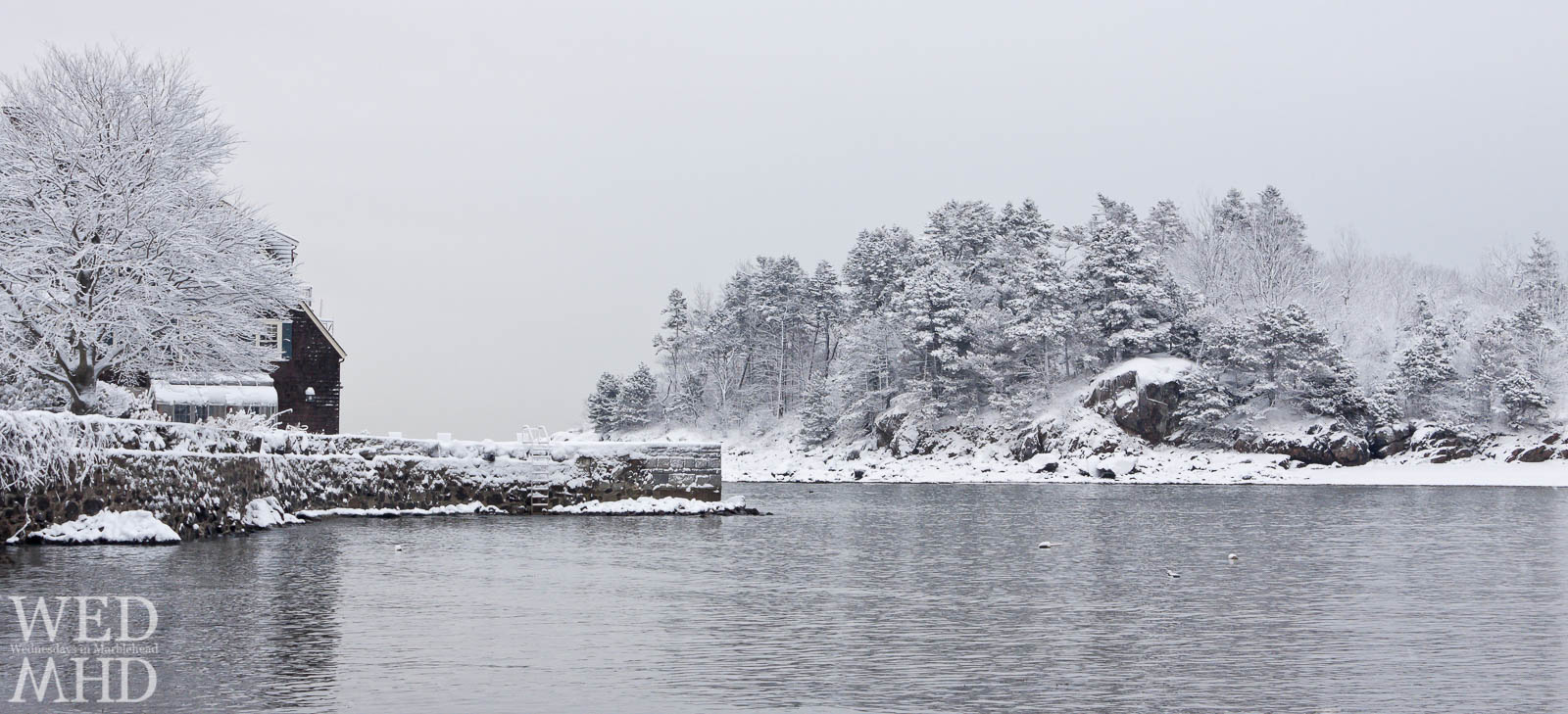 Little Harbor blanketed in snow