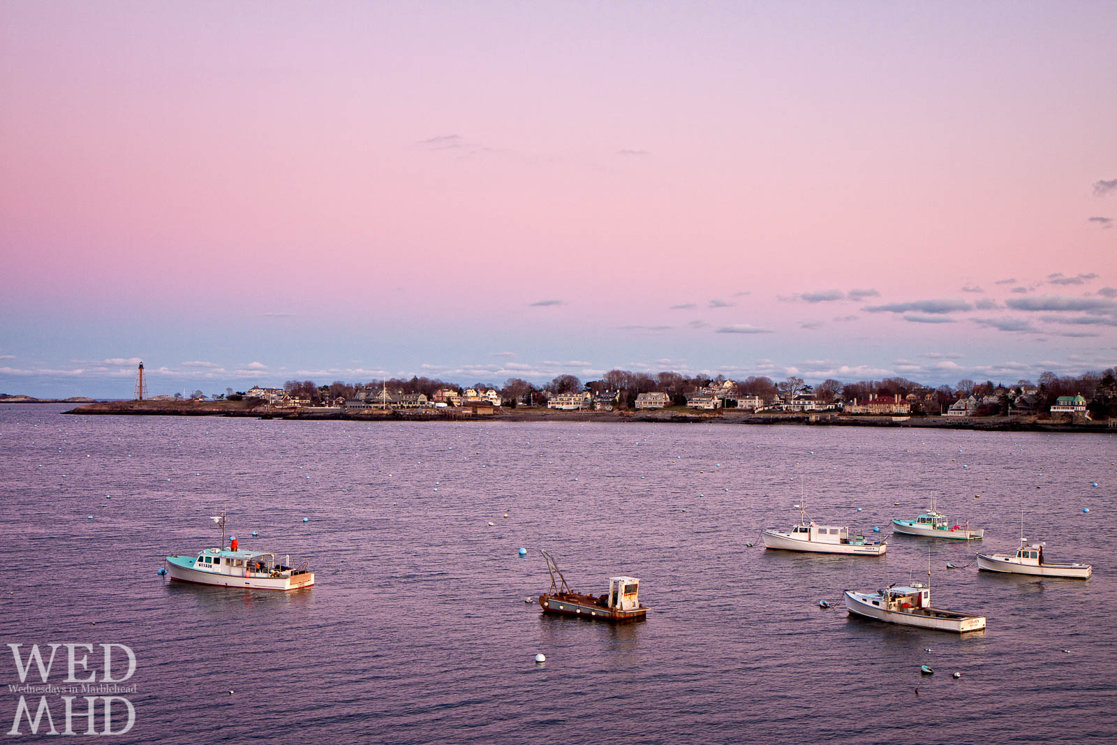 Marblehead Harbor Bathed in Purple
