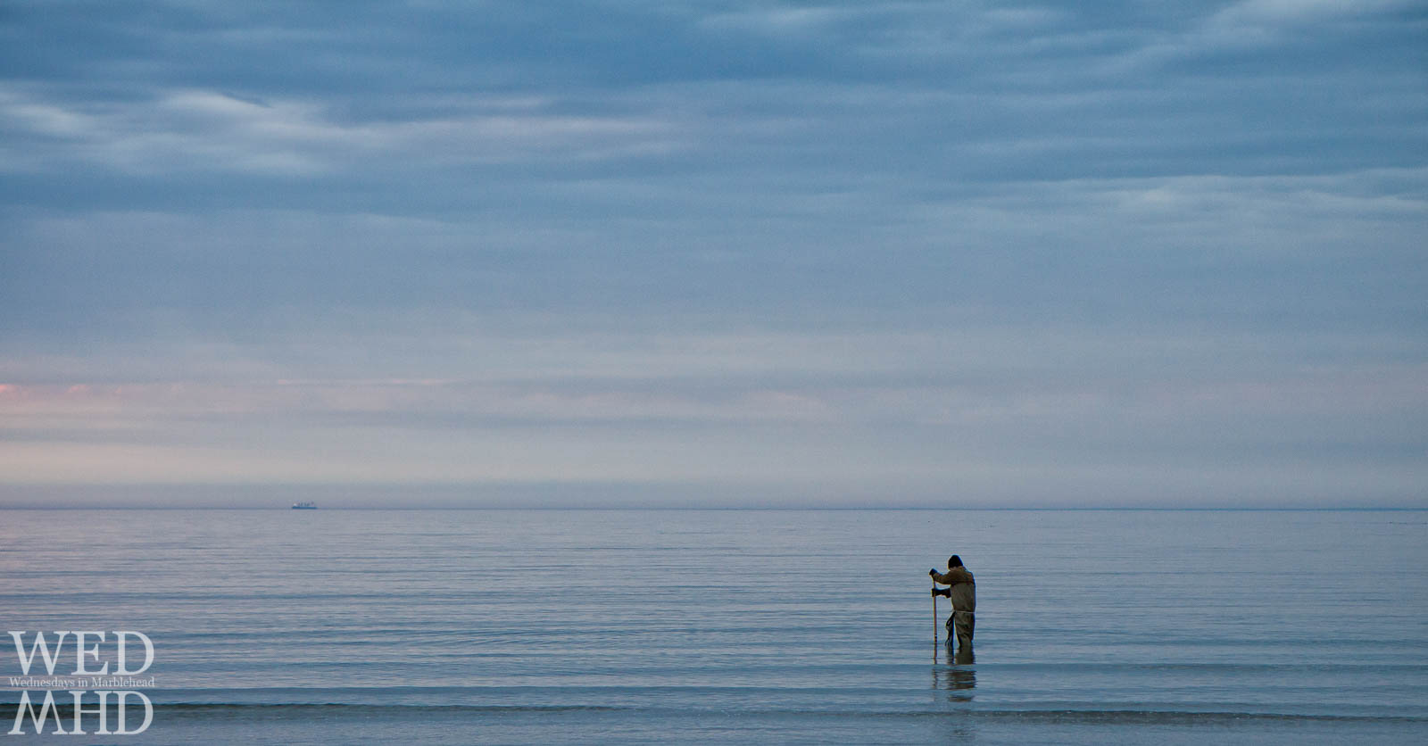 Clammer in the Water