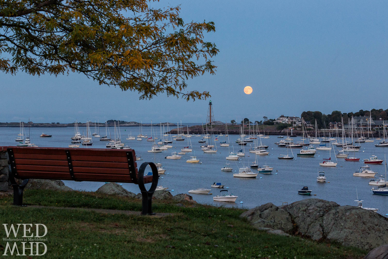 harvest moonrise