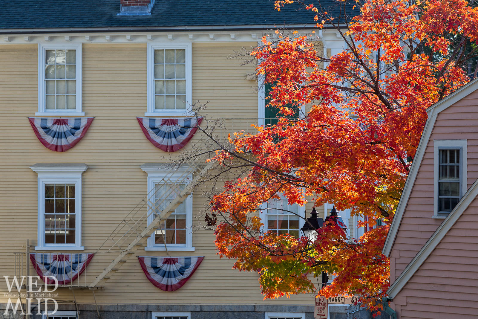 Red Leaves and Old Town House