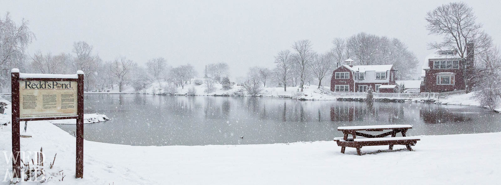 snow falling on pond