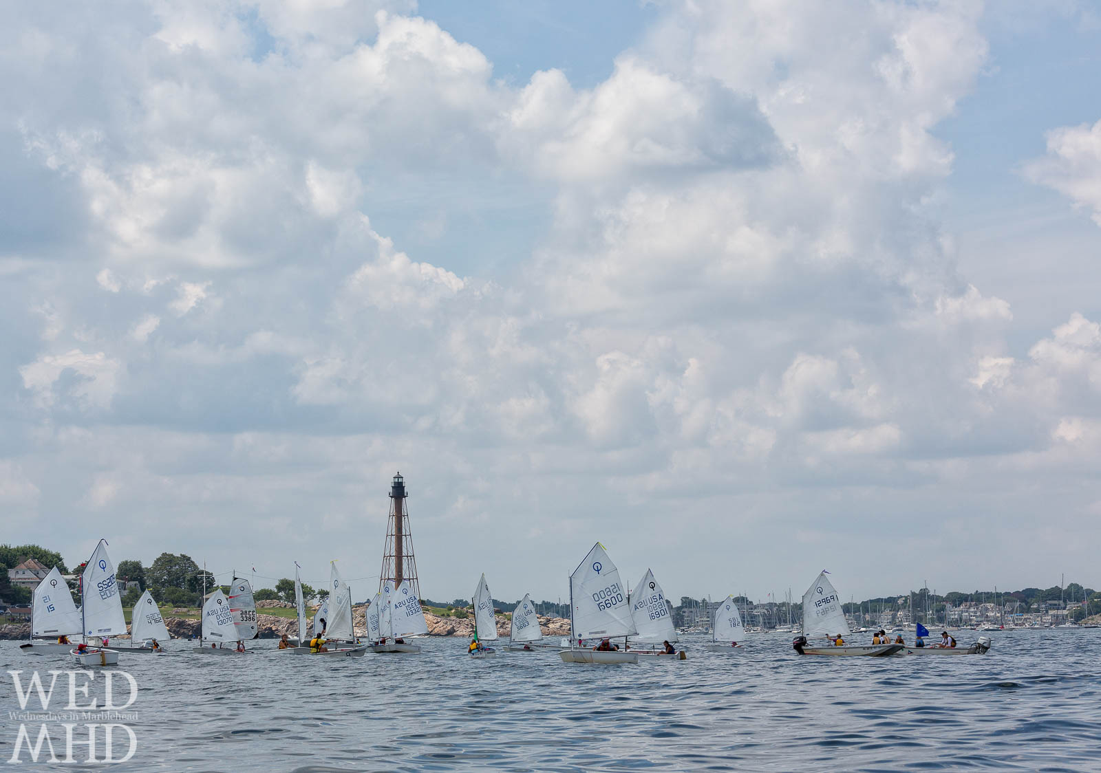 A Gaggle of Optis at Marblehead Junior Race Week