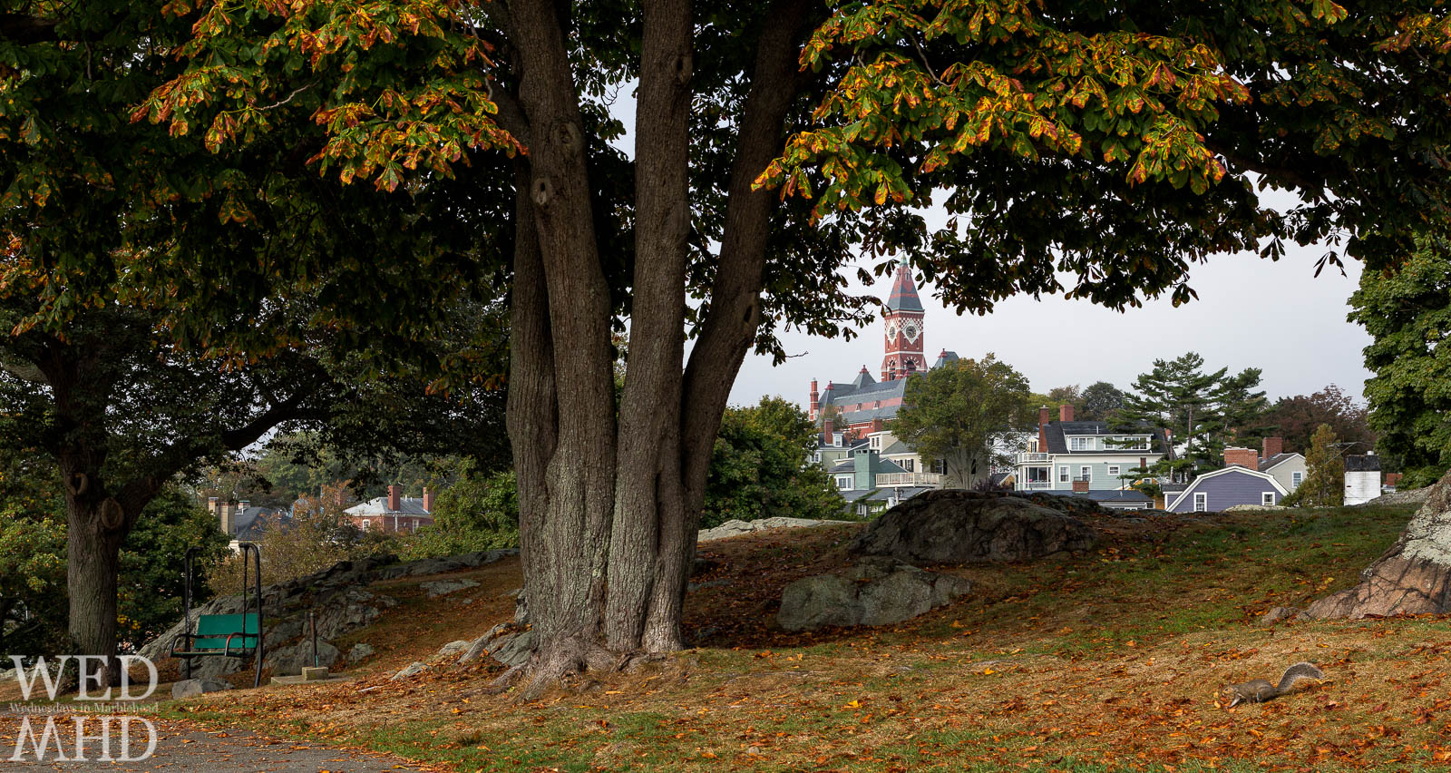 Changing Colors at Crocker Park