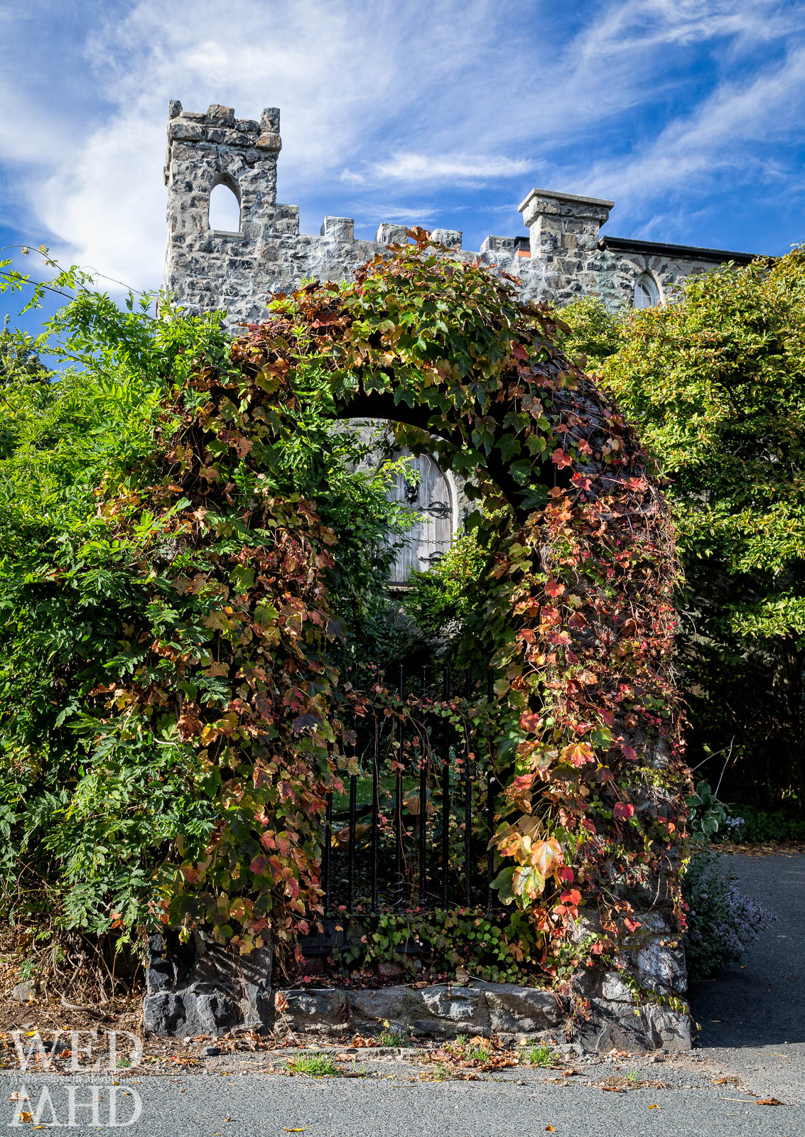 Turning Leaves at Herreshoff Castle