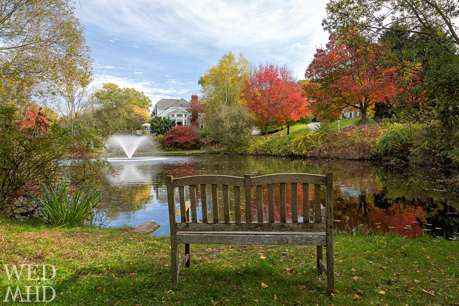 pond at peak foliage