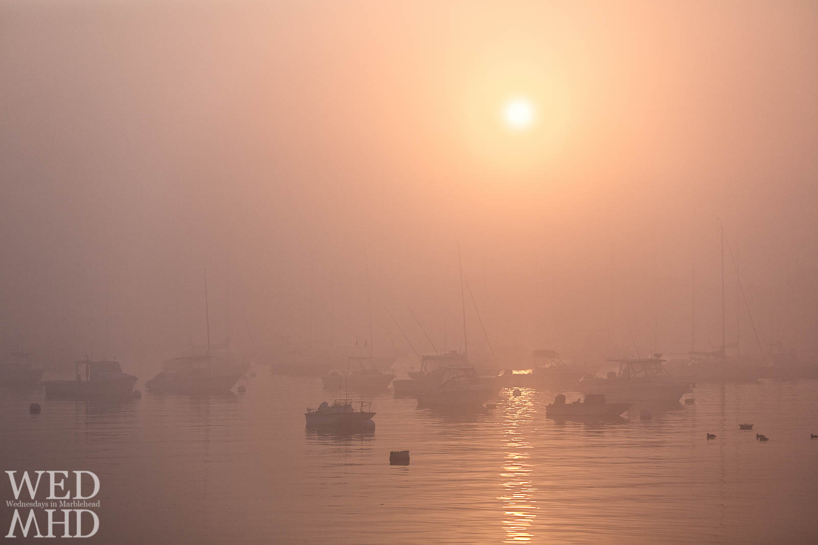 Marblehead Harbor Bathed in Fog
