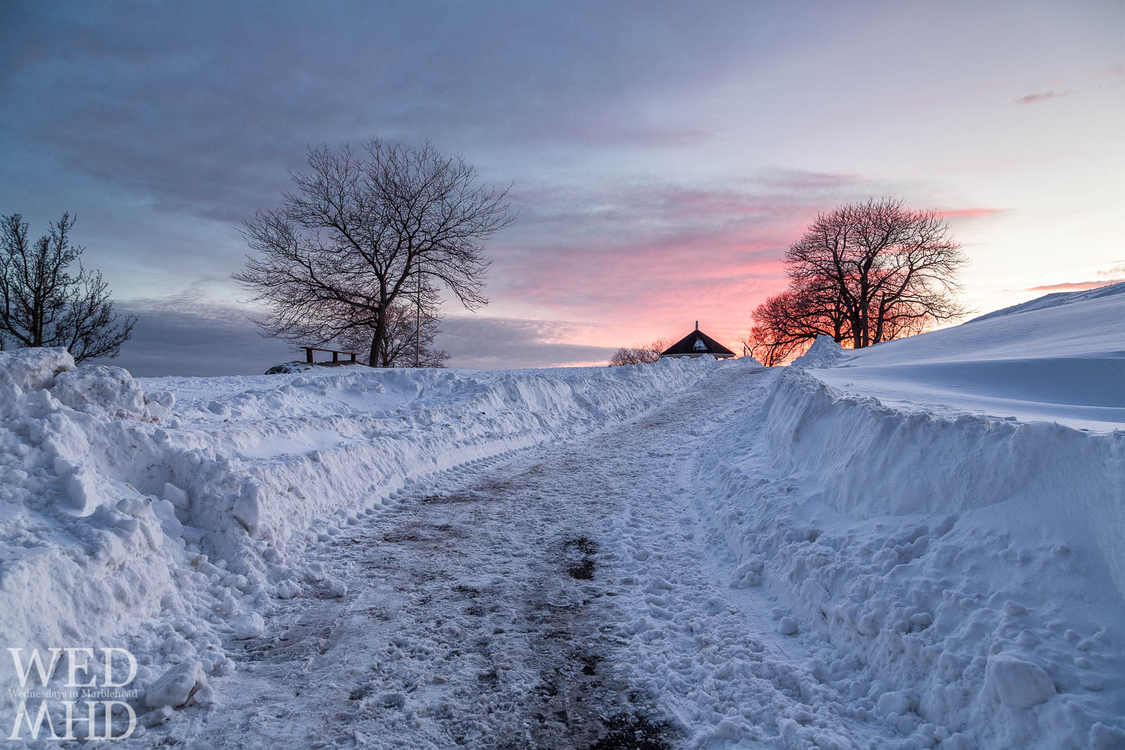 A Path Through The Snow Marblehead Ma