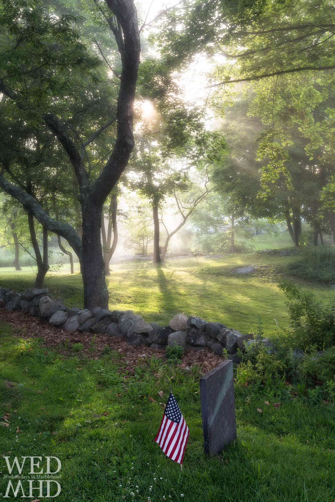 A flag planted near a grave at Old Burial Hill as the sun breaks through fog to light up the trees