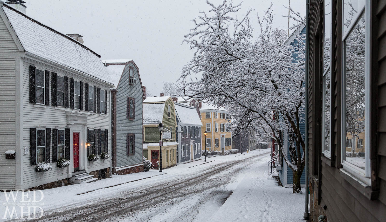 Falling snow on State Street coats tree branches and surrounds historic houses