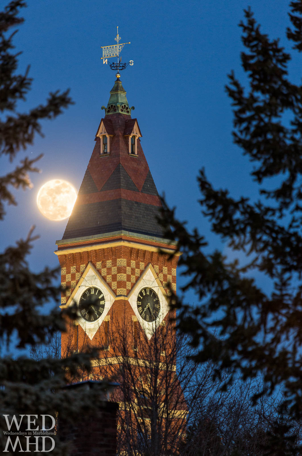 The full worm moon is captured through the trees as it comes up against Abbot Hall