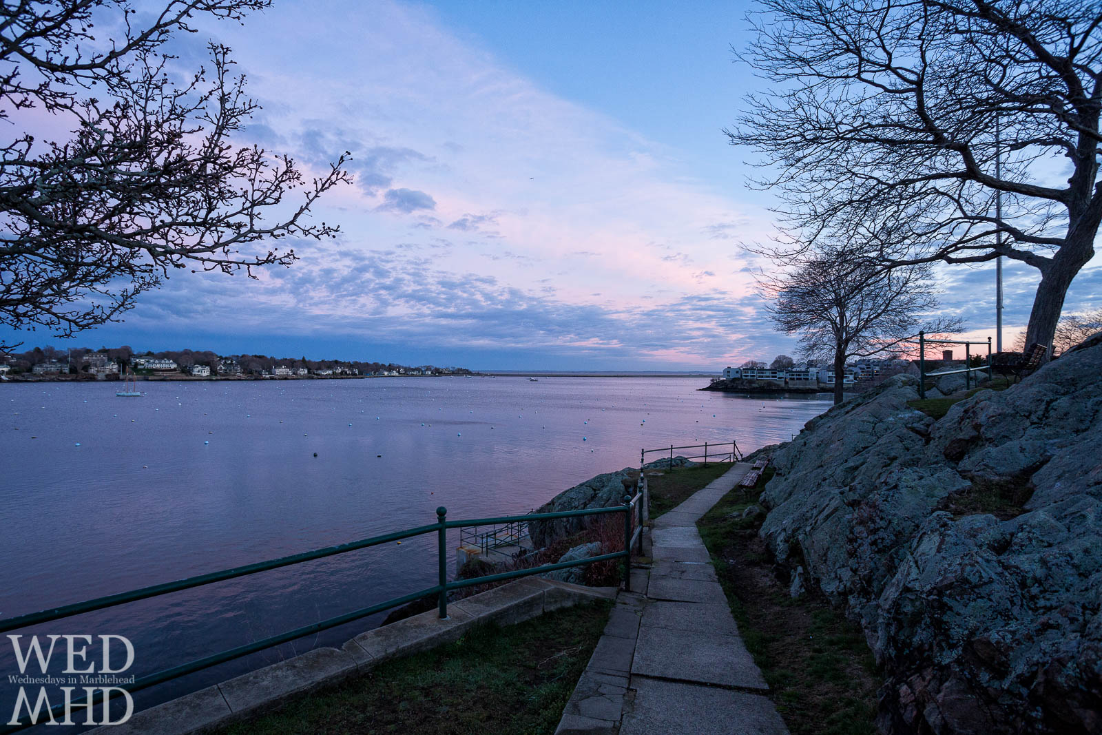 Budding trees line the path at Crocker Park leading toward the harbor under purple skies
