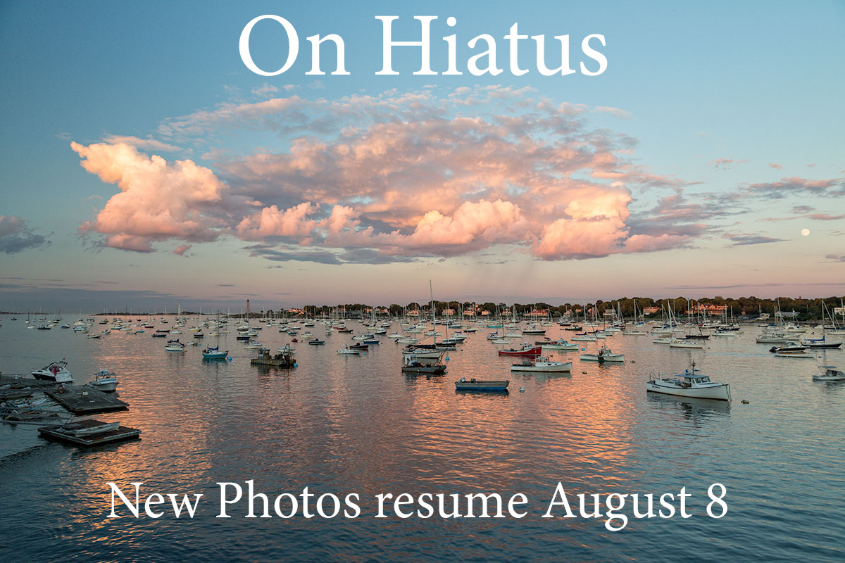 on hiatus