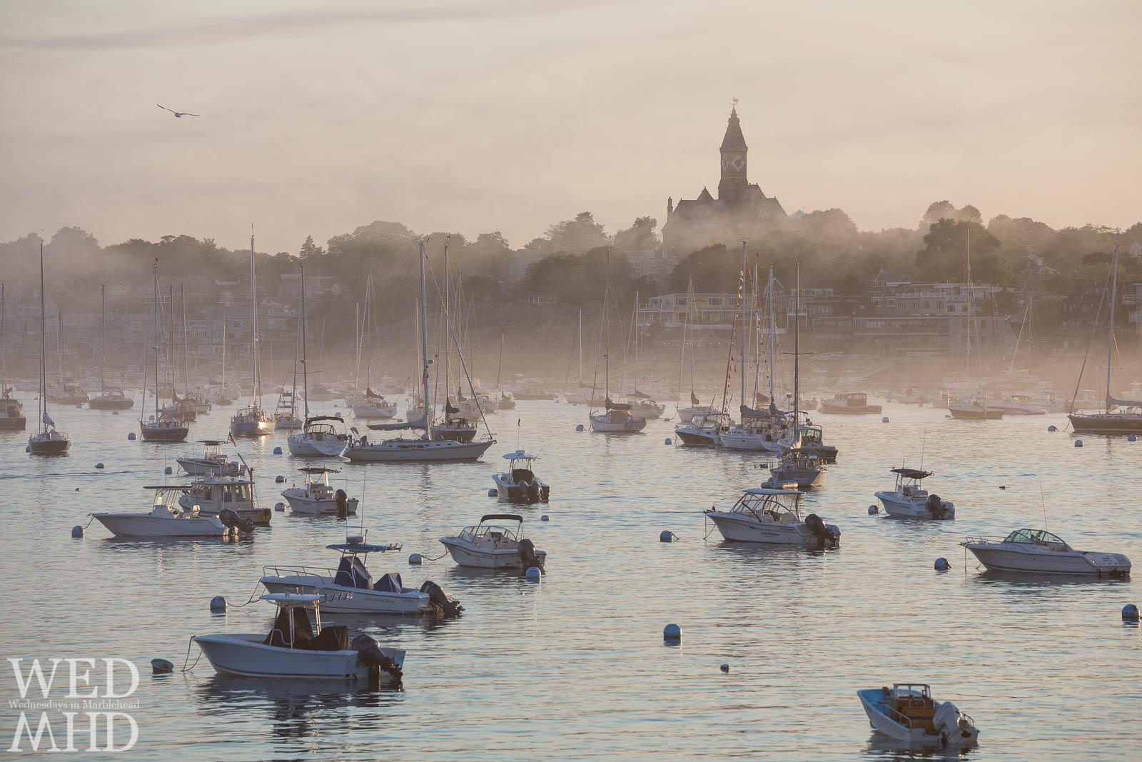 A view of Abbot Hall and boats in Marblehead harbor all layered in fog at sunset