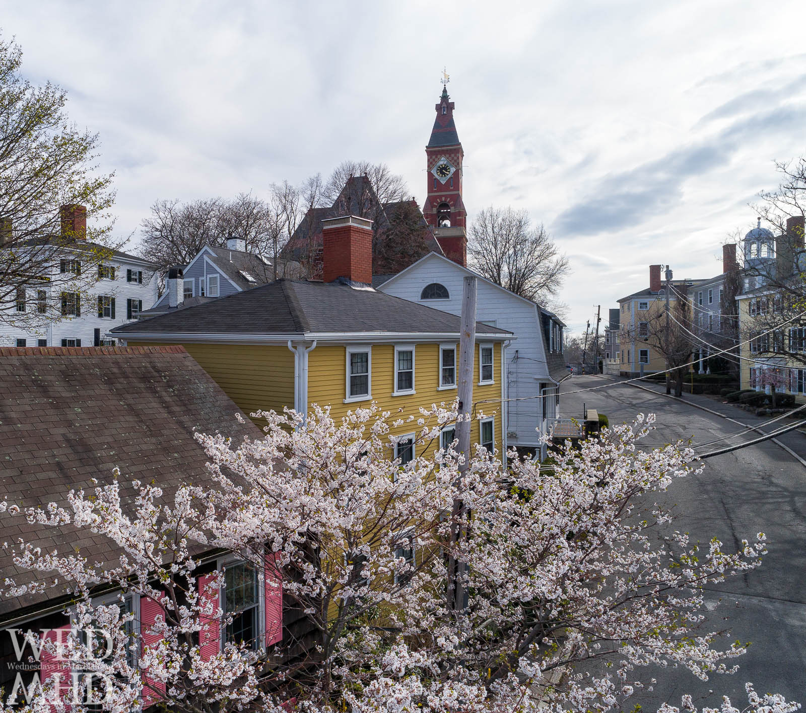 A sure sign of Spring in Marblehead is the appearance of cherry blossoms on Washington Street seen in this aerial view with Abbot Hall in the distance