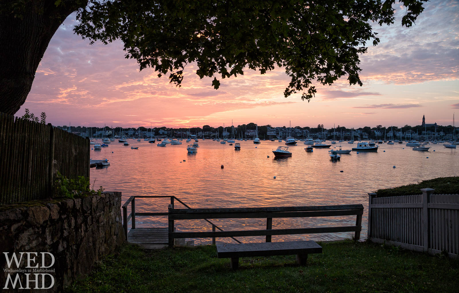 A view of Marblehead harbor is framed by a tree at Parker Lane.