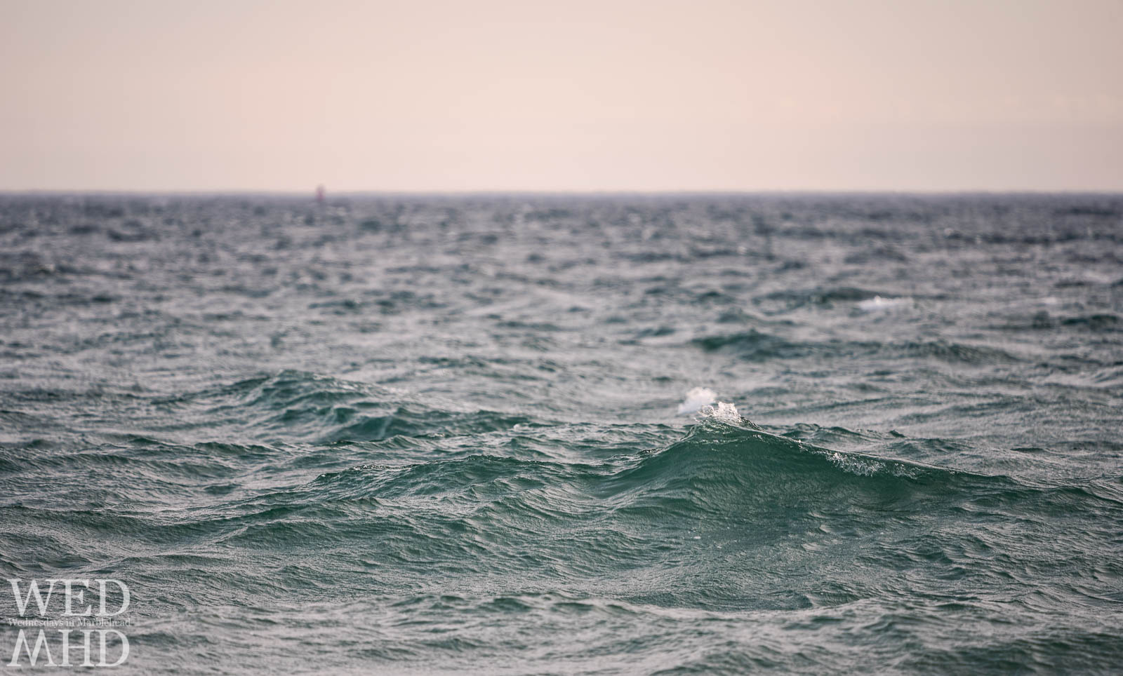 Portrait of a wave off Devereux Beach