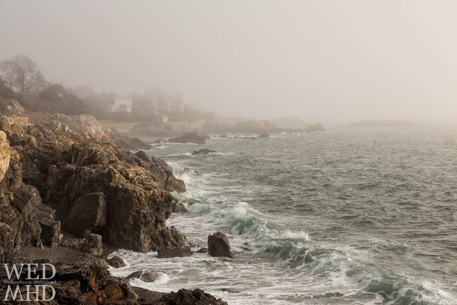 Waves seem to beckon as they appear out of the fog on this late February morning at Castle Rock