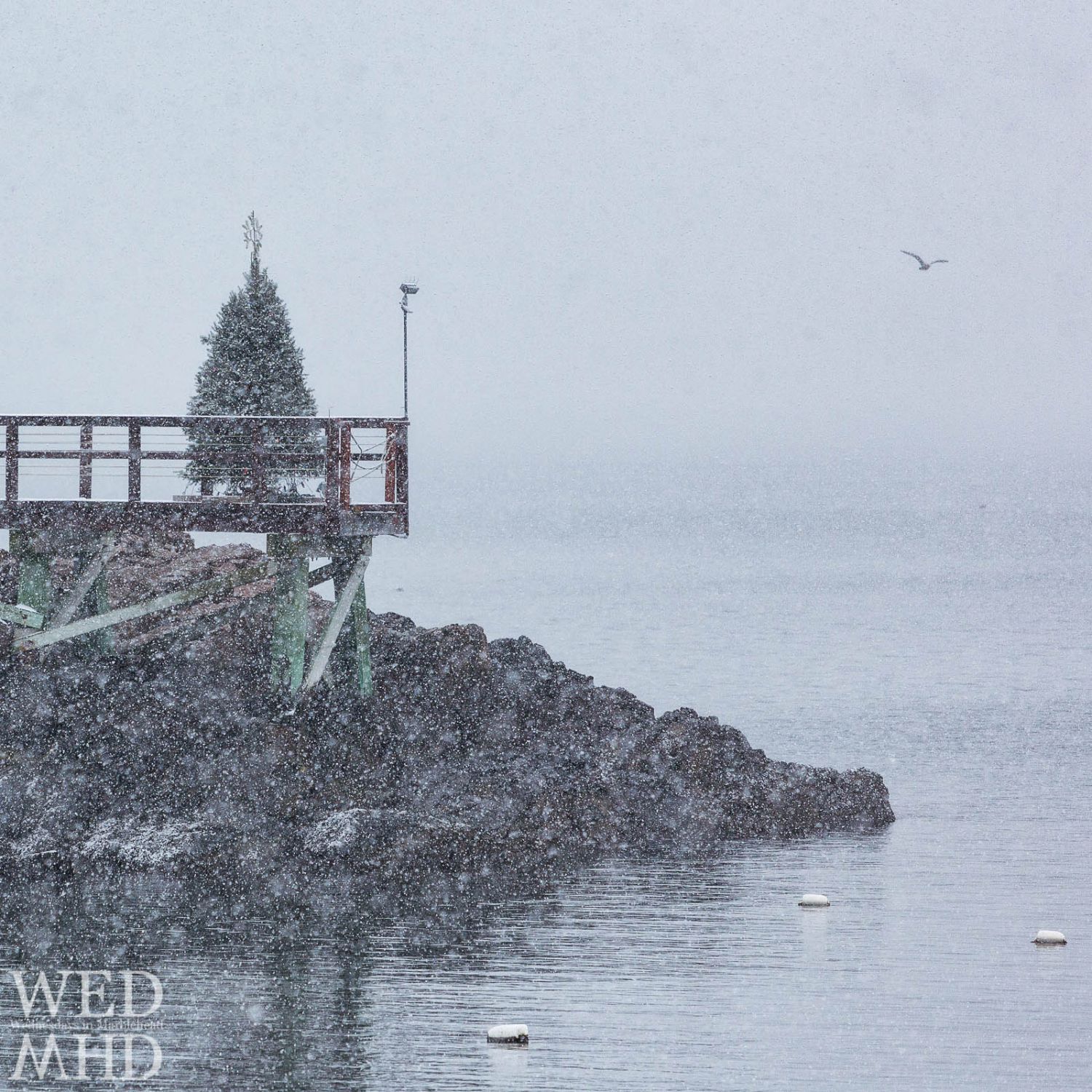 Have to make due with winds and rain this year but here is the view of what a white Christmas in Marblehead would look like