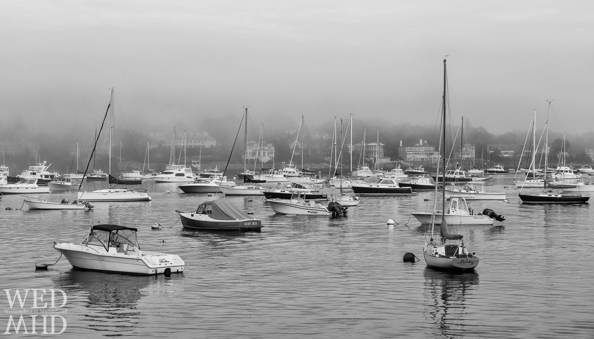 A black and white image capturing a foggy evening in Marblehead harbor featuring three boats - Lucky, Bella and Ruddy Duck