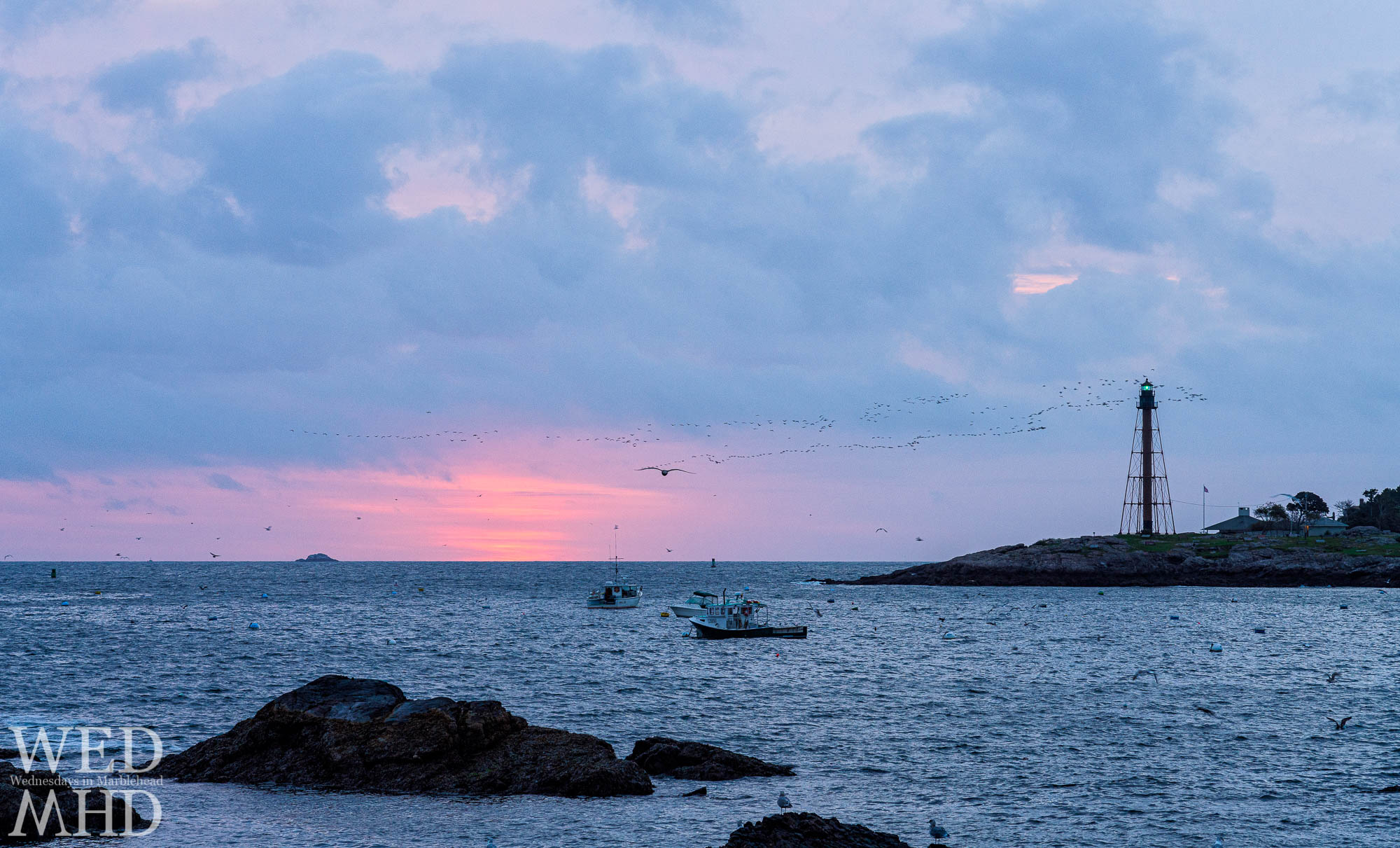 A flock of birds seem to fly around Marblehead Light at dawn on a mid-October morning
